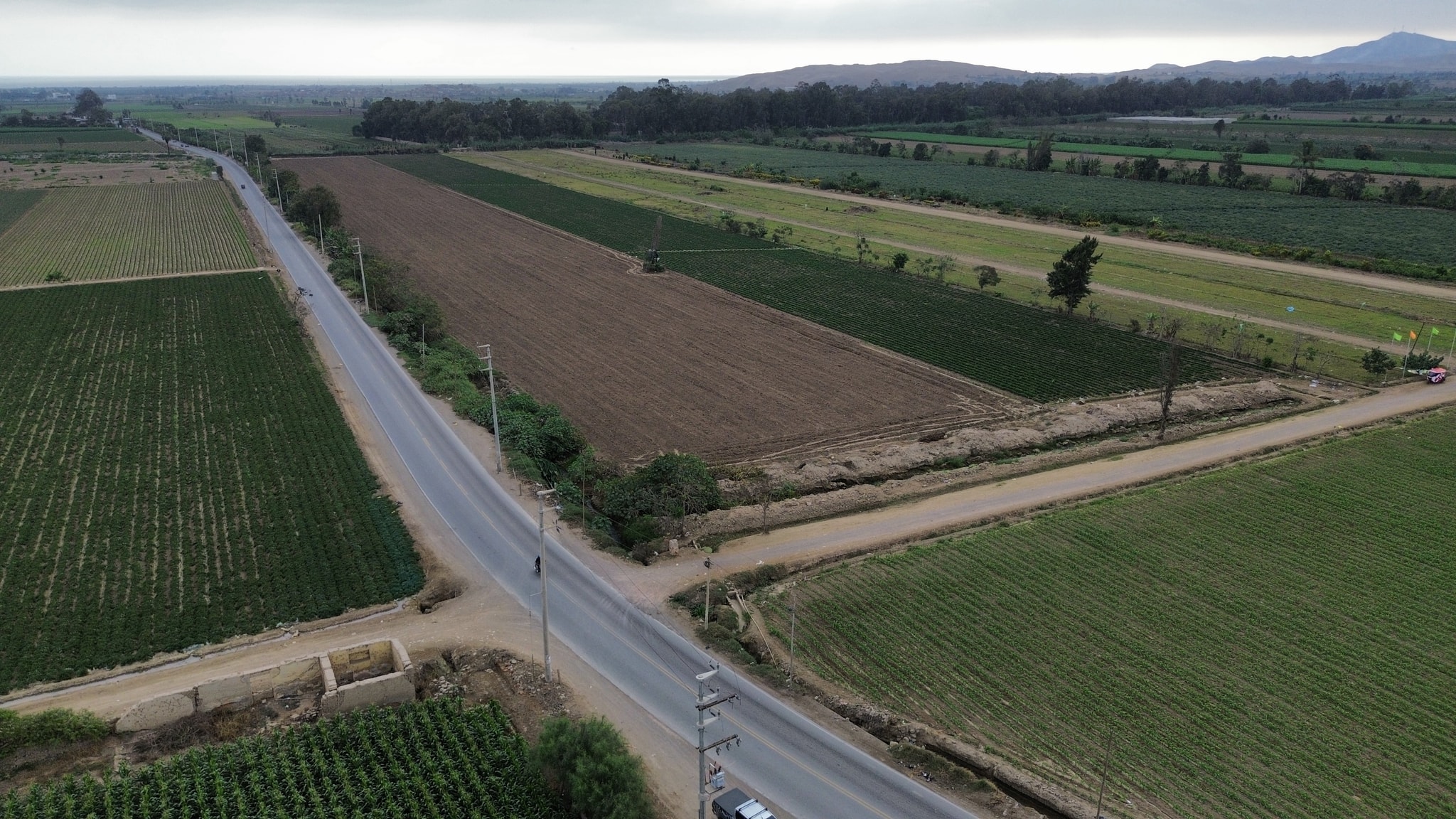 Terreno agrícola de 5 hectáreas — foto 4
