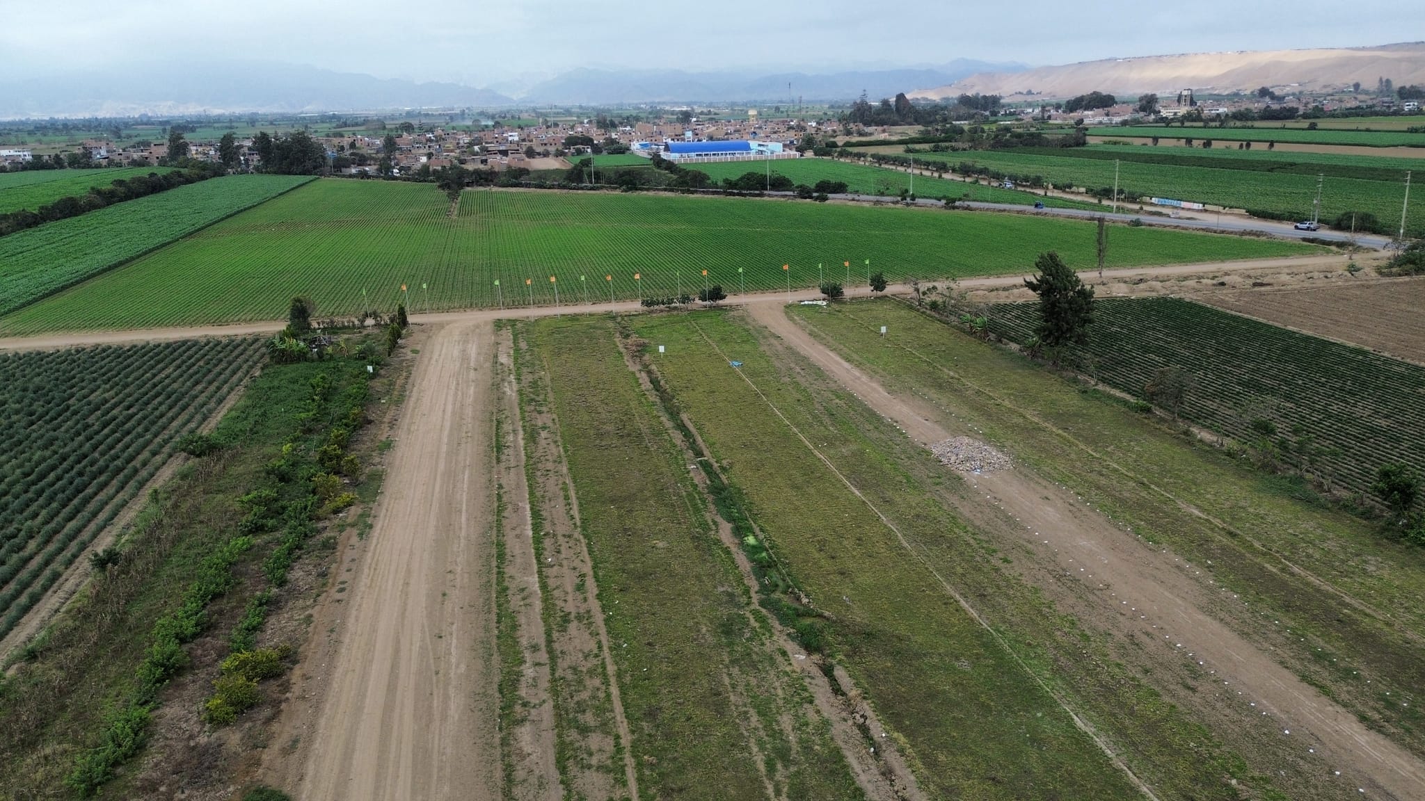 Terreno agrícola de 5 hectáreas