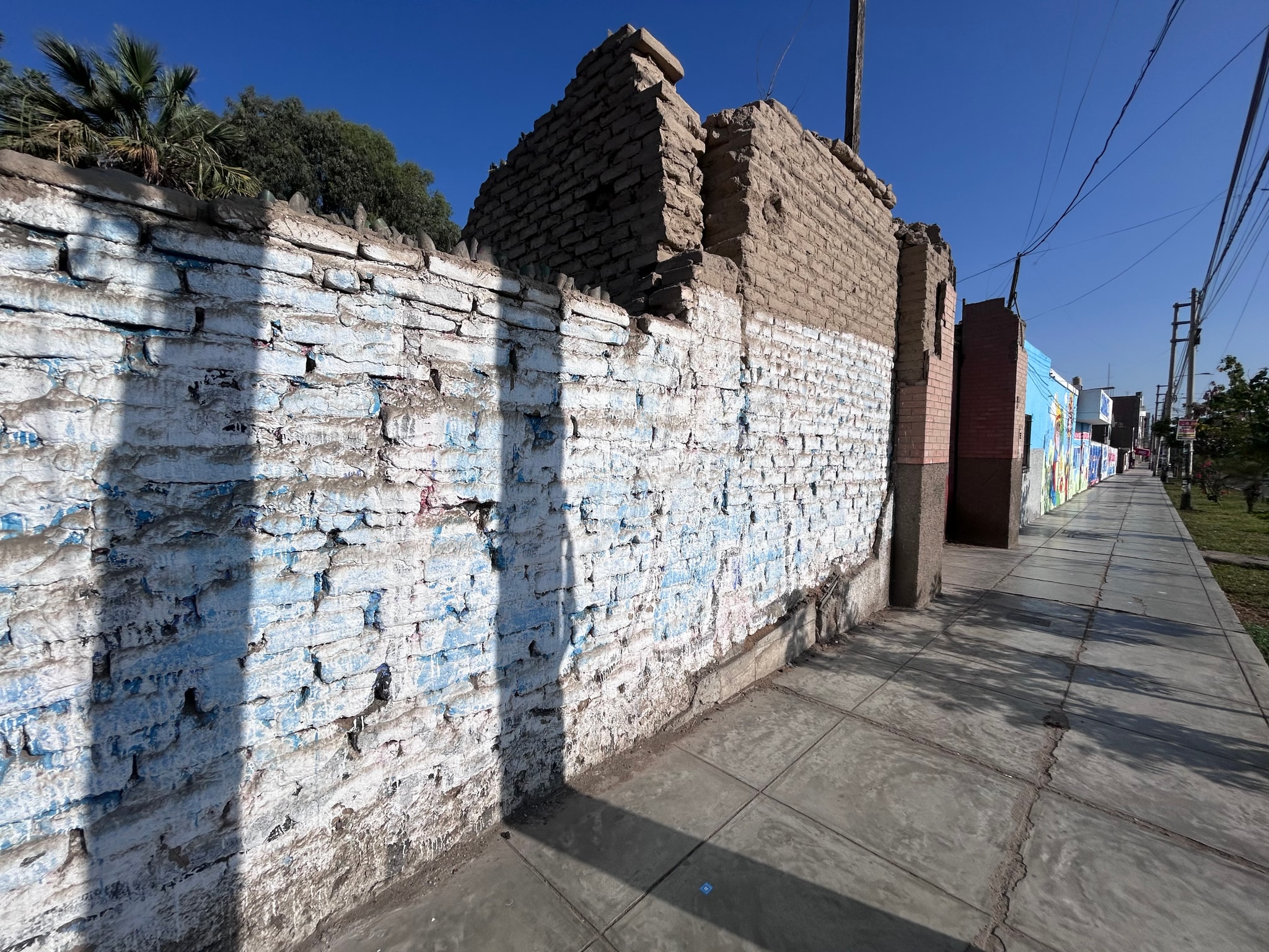 Terreno comercial 3000 m2 — foto 6