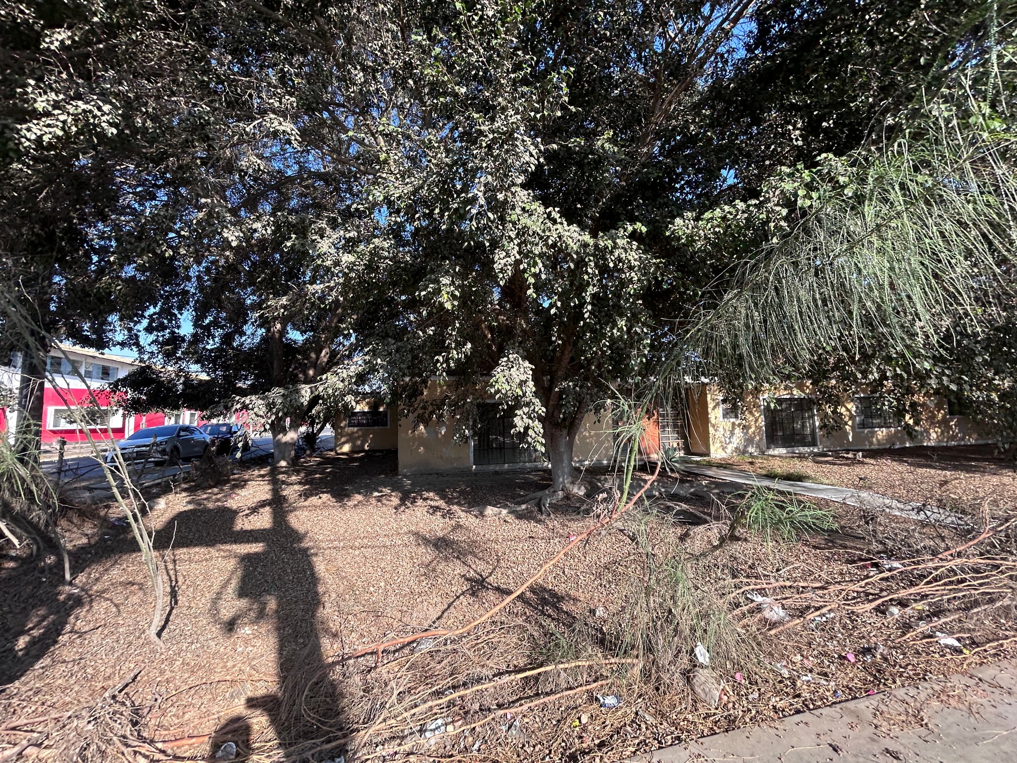Terreno comercial 3000 m2 — foto 5
