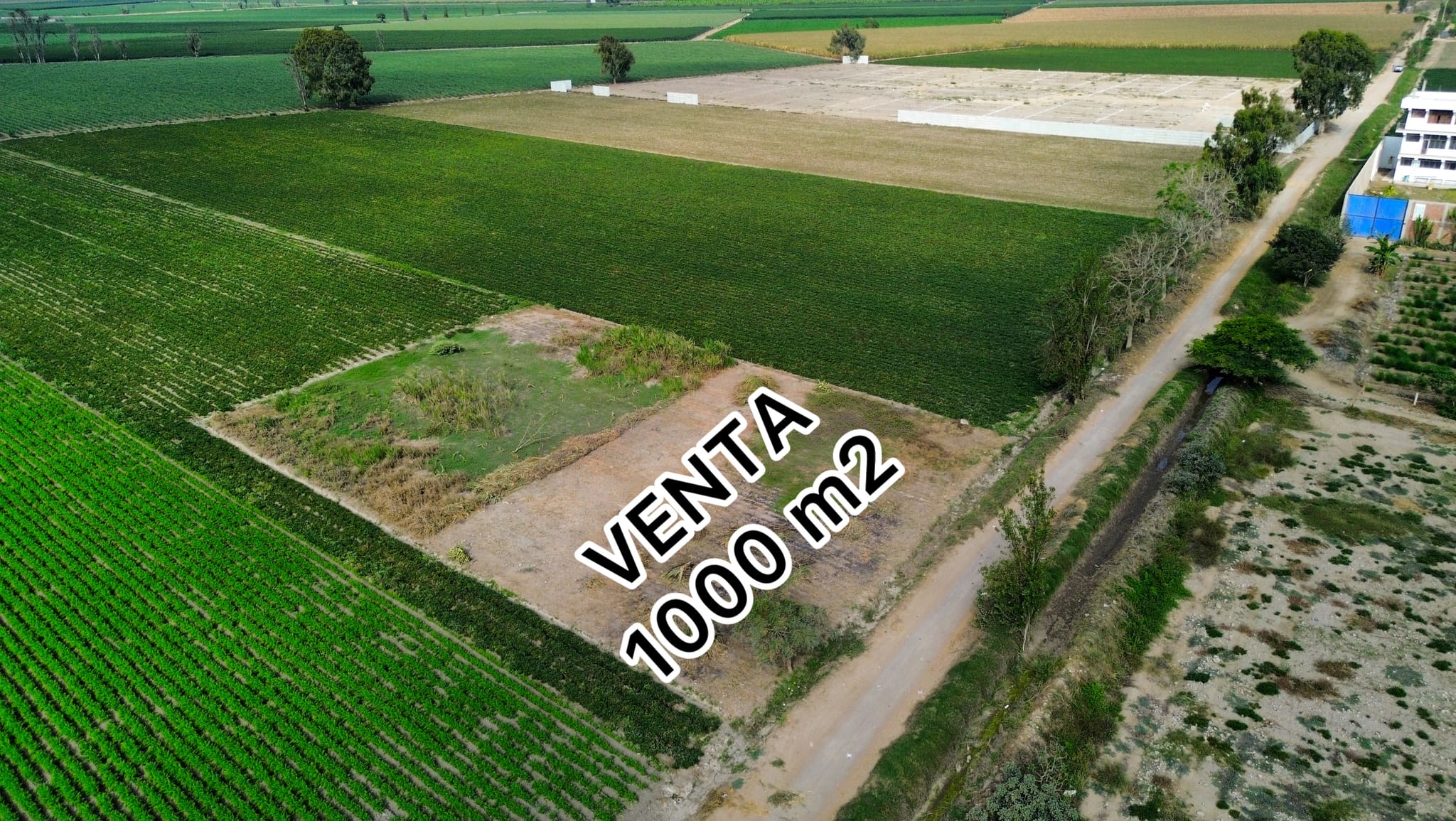 Parcela de 1000 m2 camino a Milkito