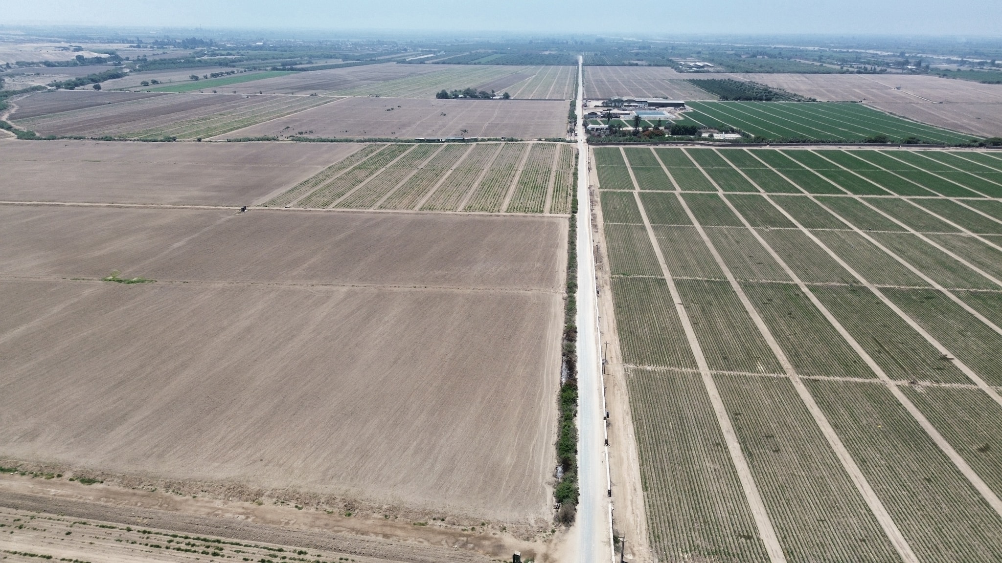Fundo en venta de 205 hectáreas — foto 2