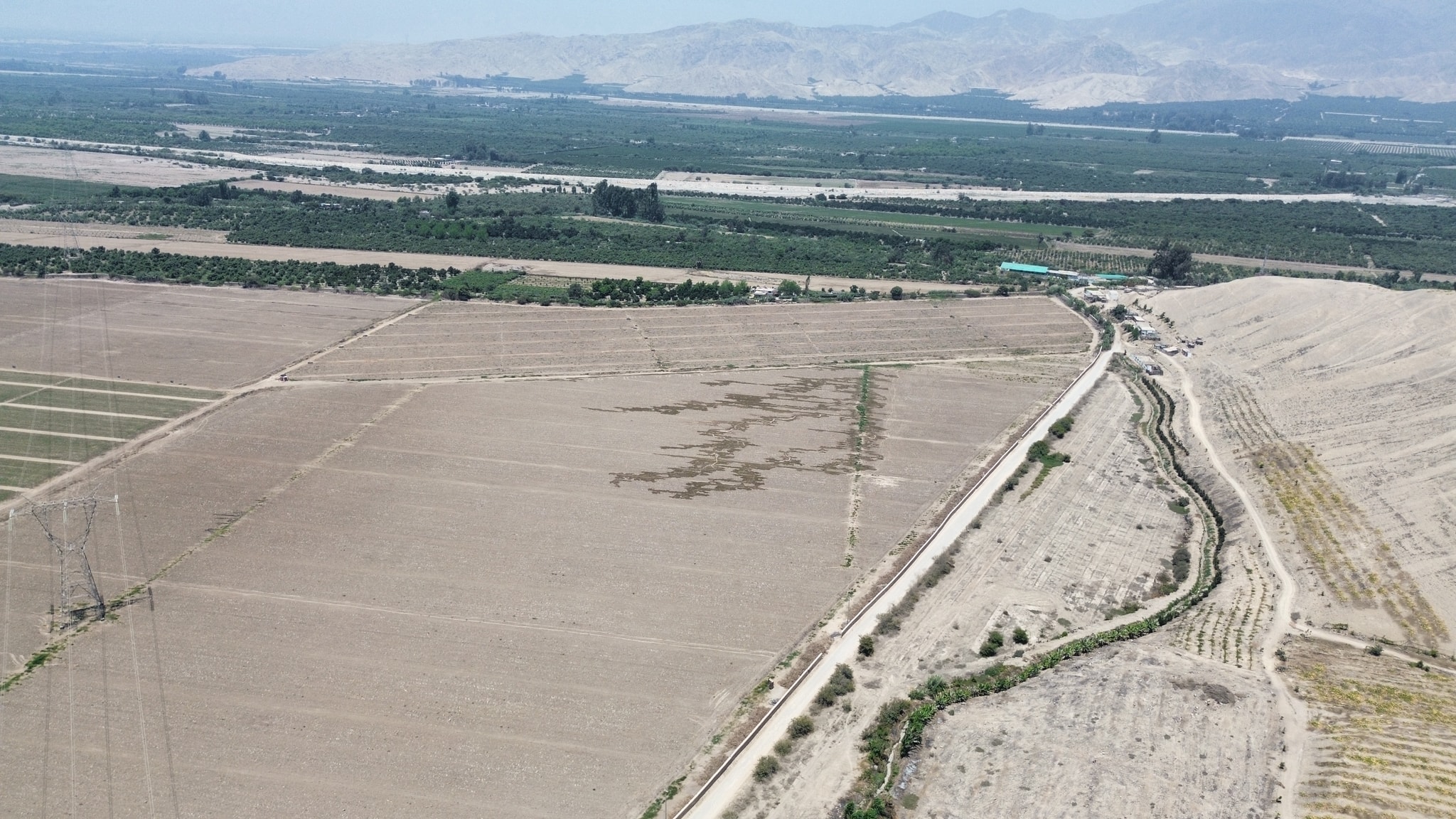Fundo en venta de 205 hectáreas — foto 6