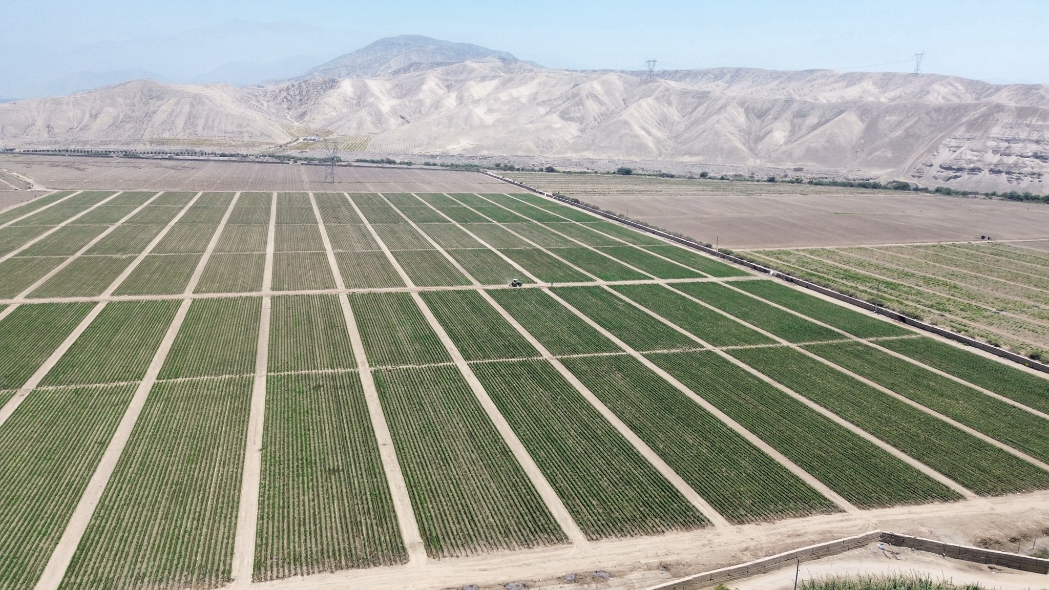Fundo en venta de 205 hectáreas — foto 11