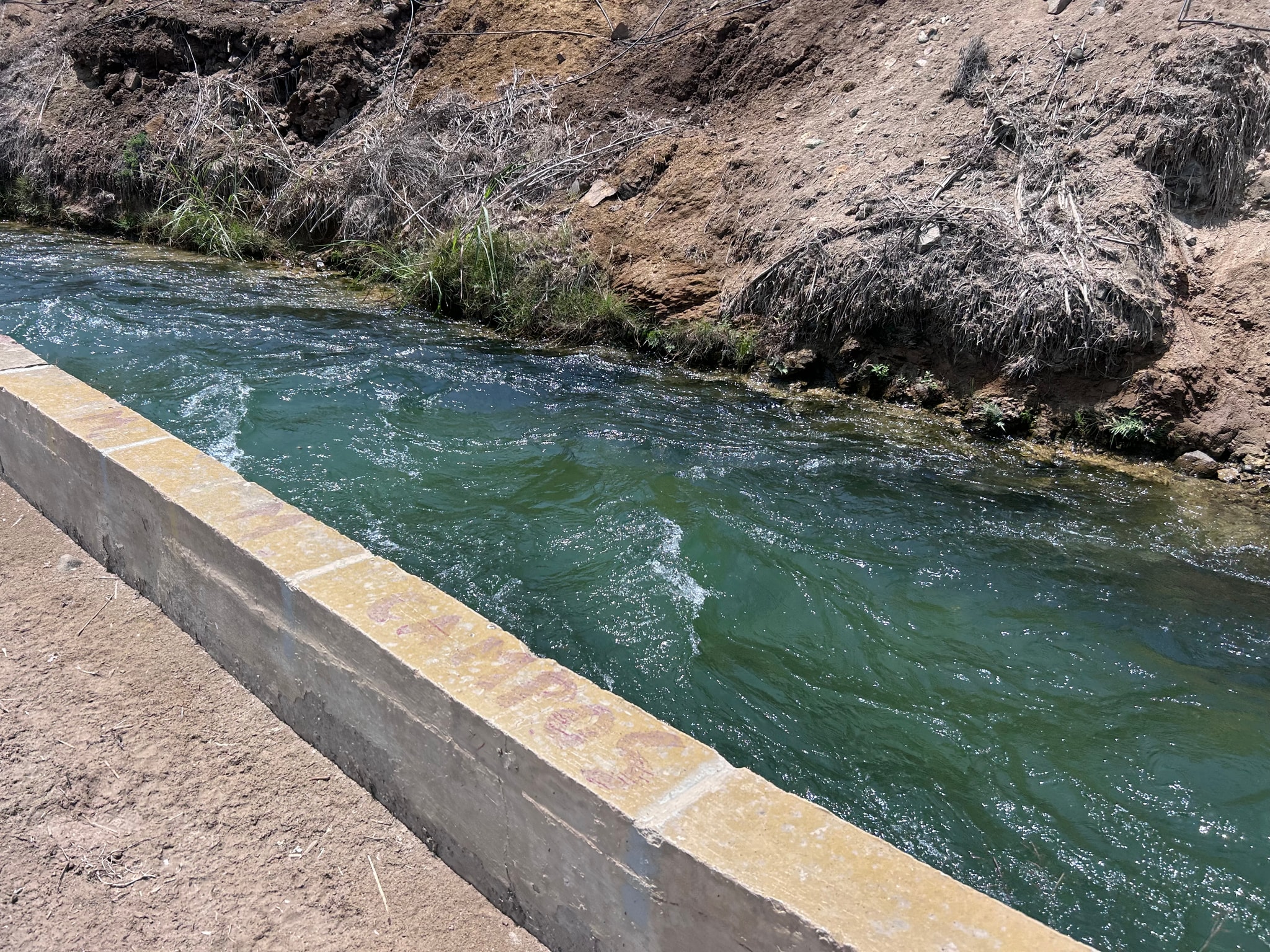 Terreno de 4 has en carretera a lunahuana — foto 3