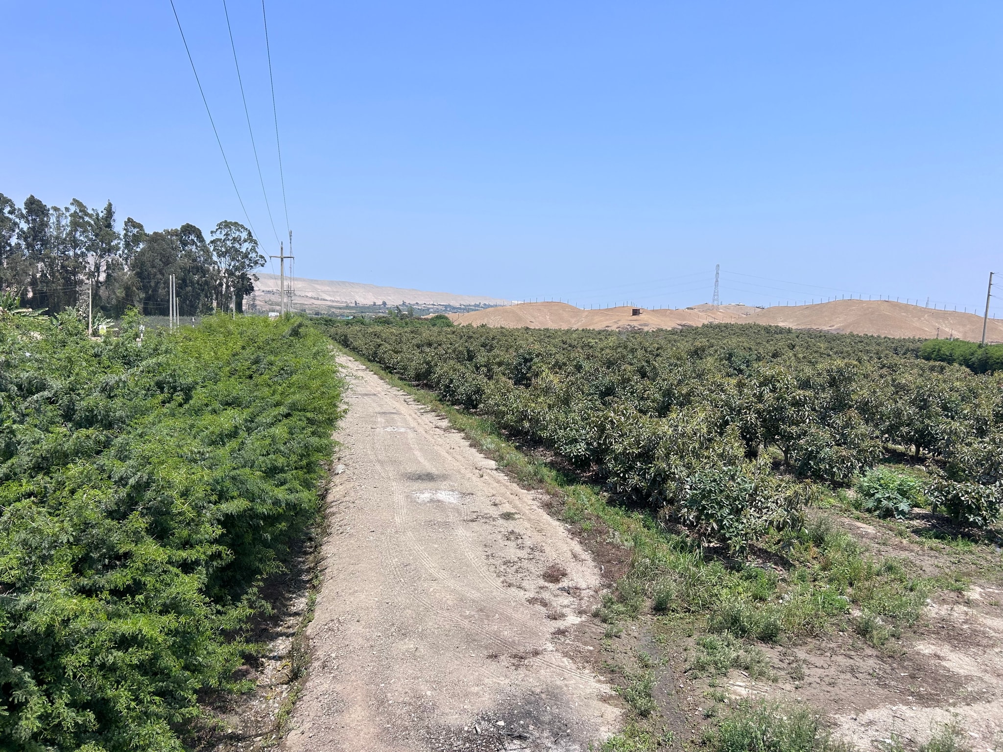 Terreno de 4 has en carretera a lunahuana — foto 2