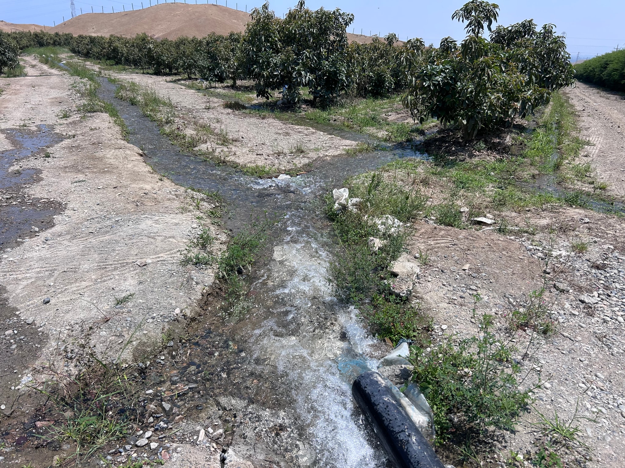 Terreno de 4 has en carretera a lunahuana — foto 8