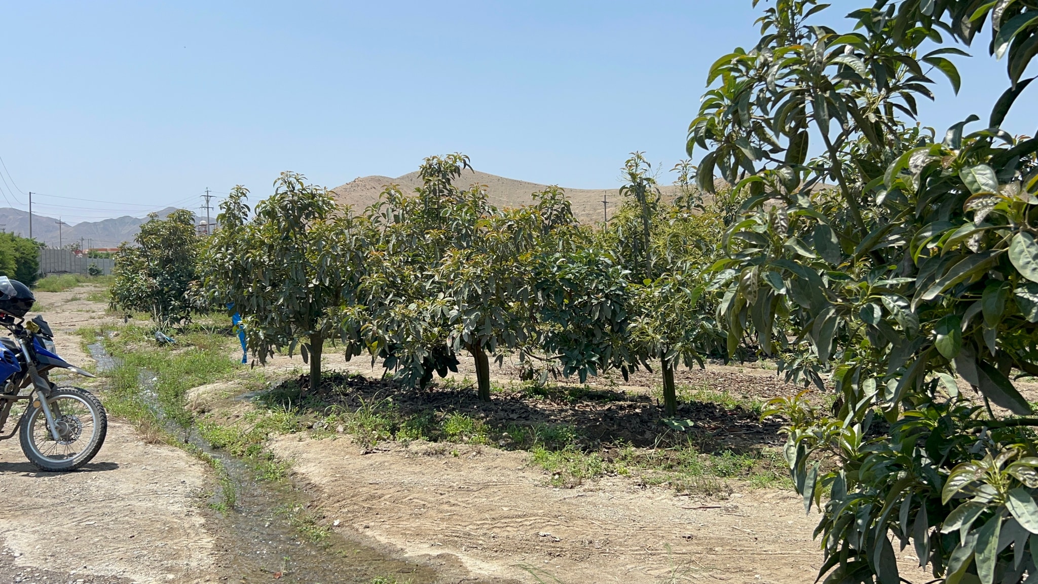 Terreno de 4 has en carretera a lunahuana — foto 9