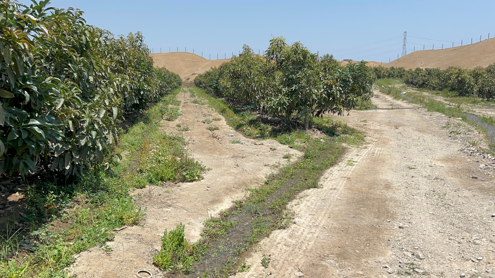 Terreno de 4 has en carretera a lunahuana — foto 11