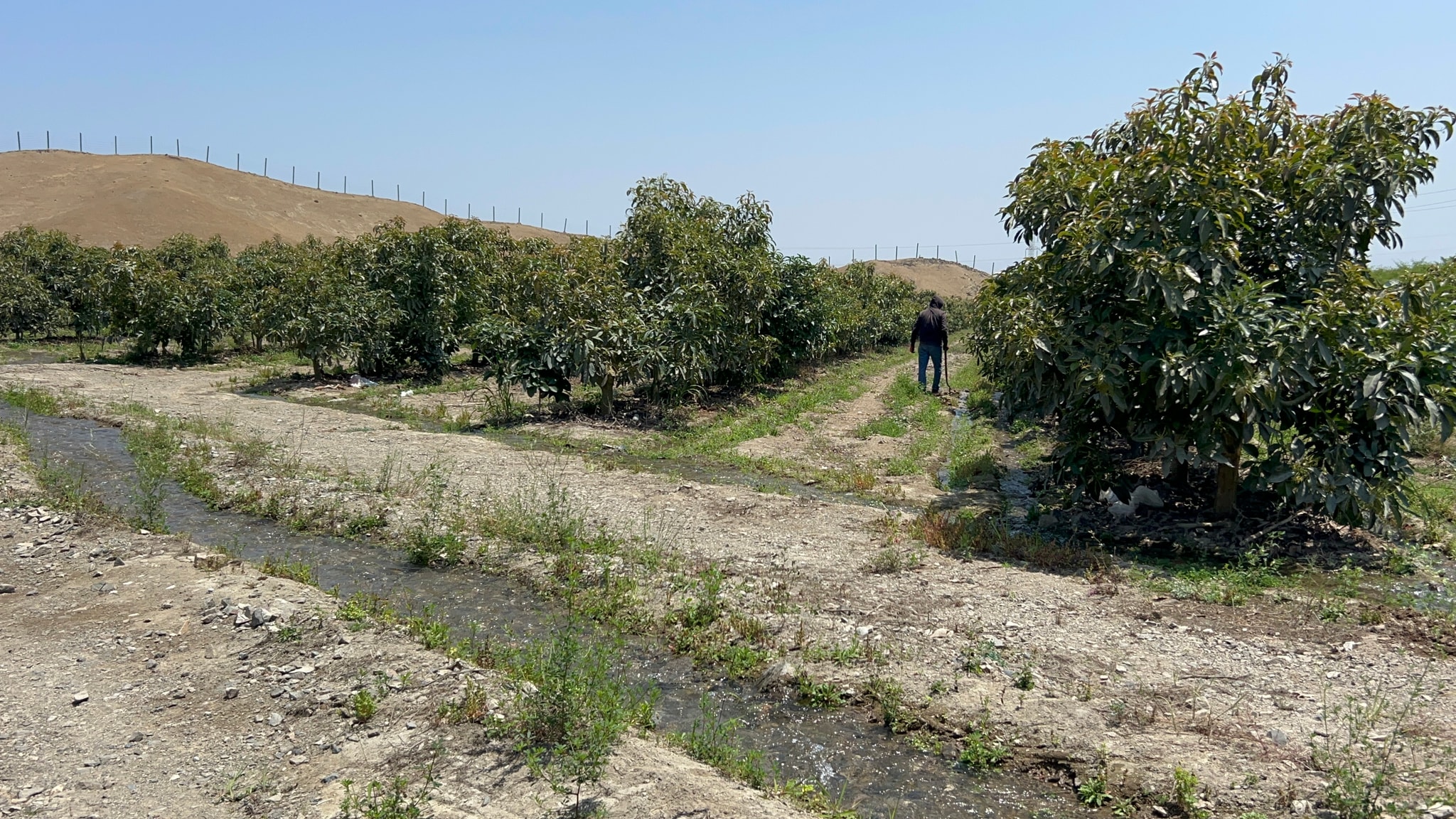 Terreno de 4 has en carretera a lunahuana — foto 12