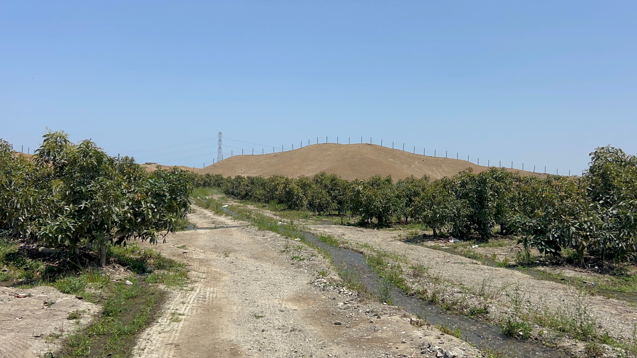 Terreno de 4 has en carretera a lunahuana — foto 20