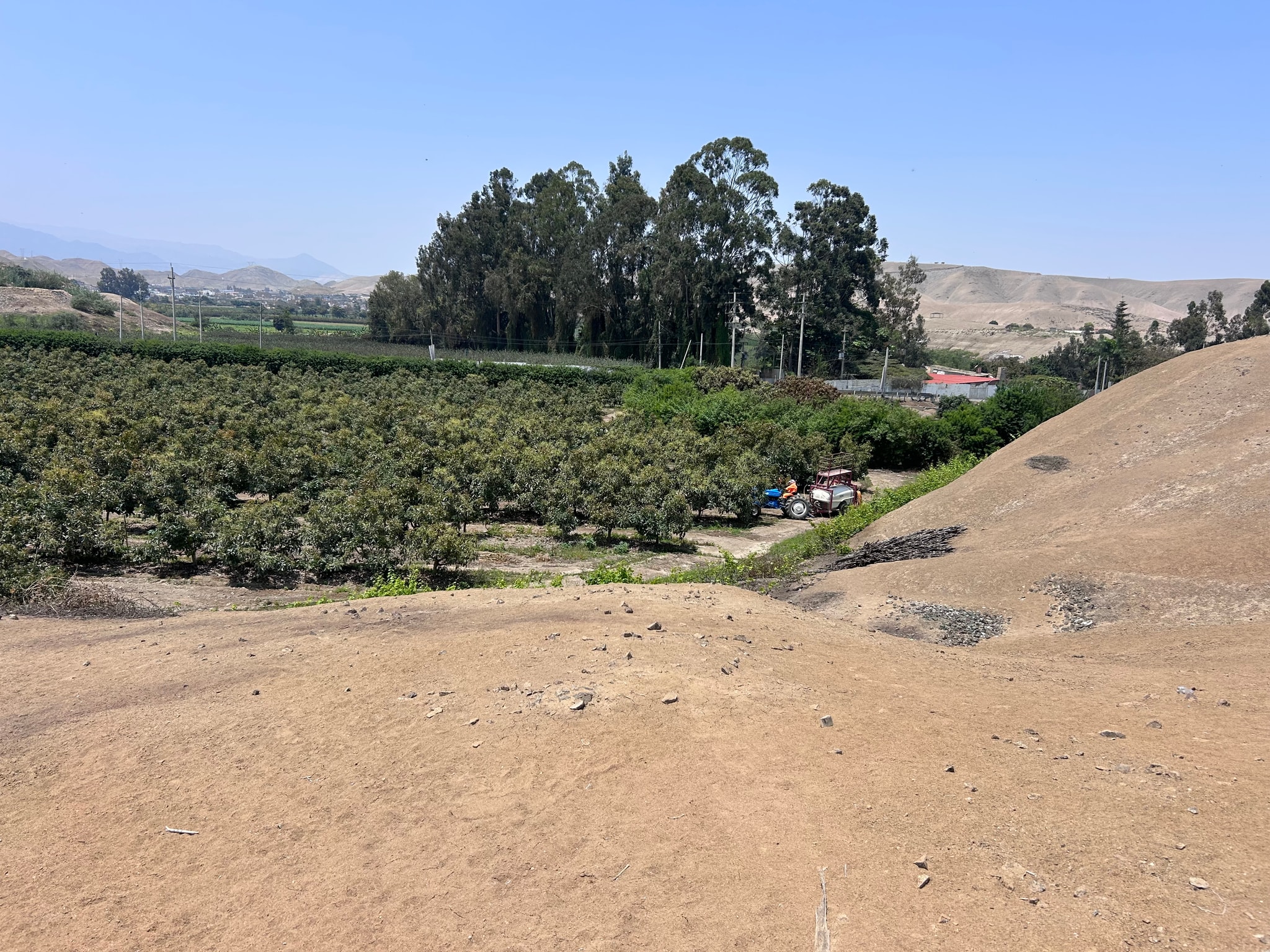 Terreno de 4 has en carretera a lunahuana — foto 13