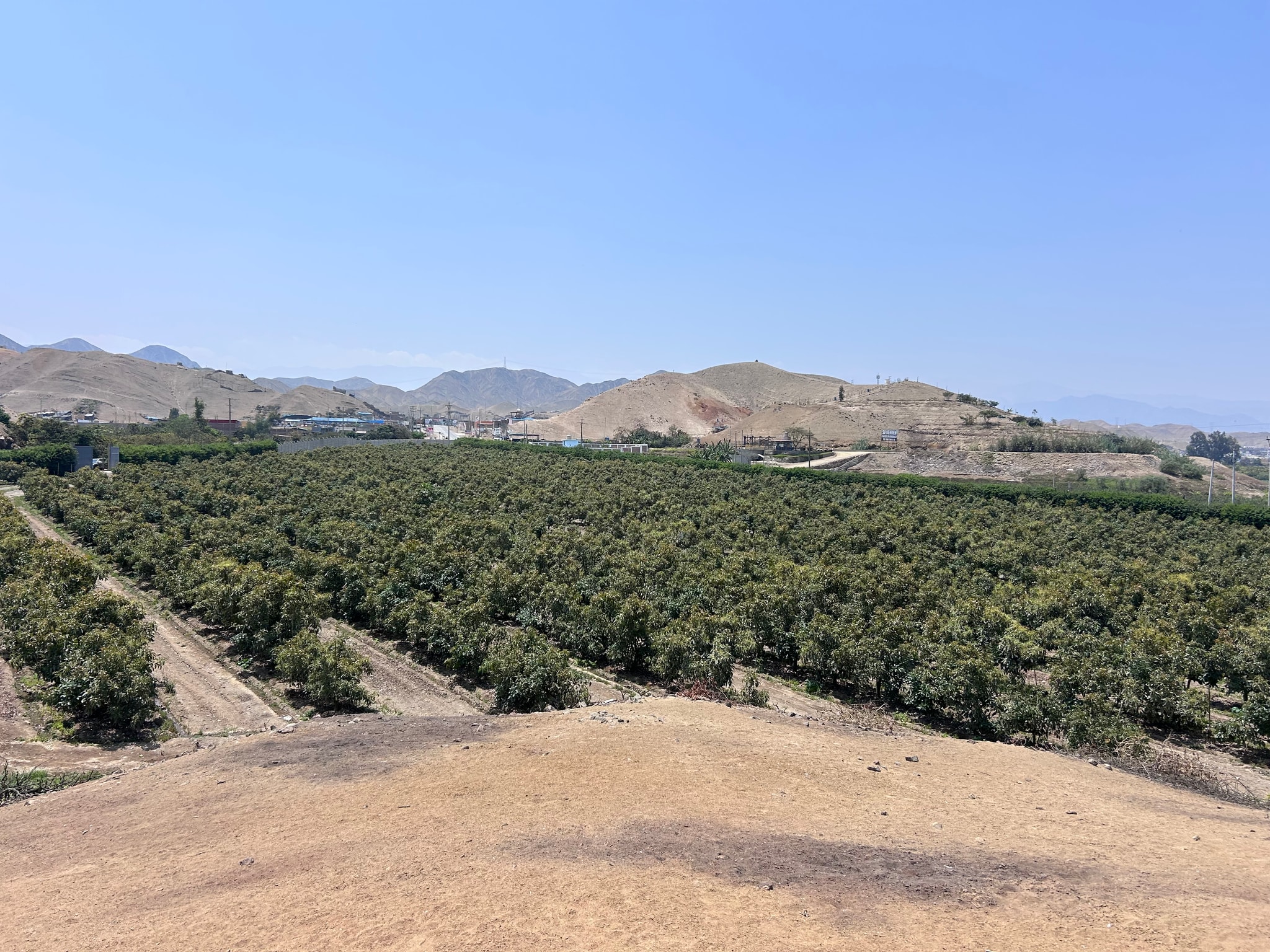 Terreno de 4 has en carretera a lunahuana — foto 14