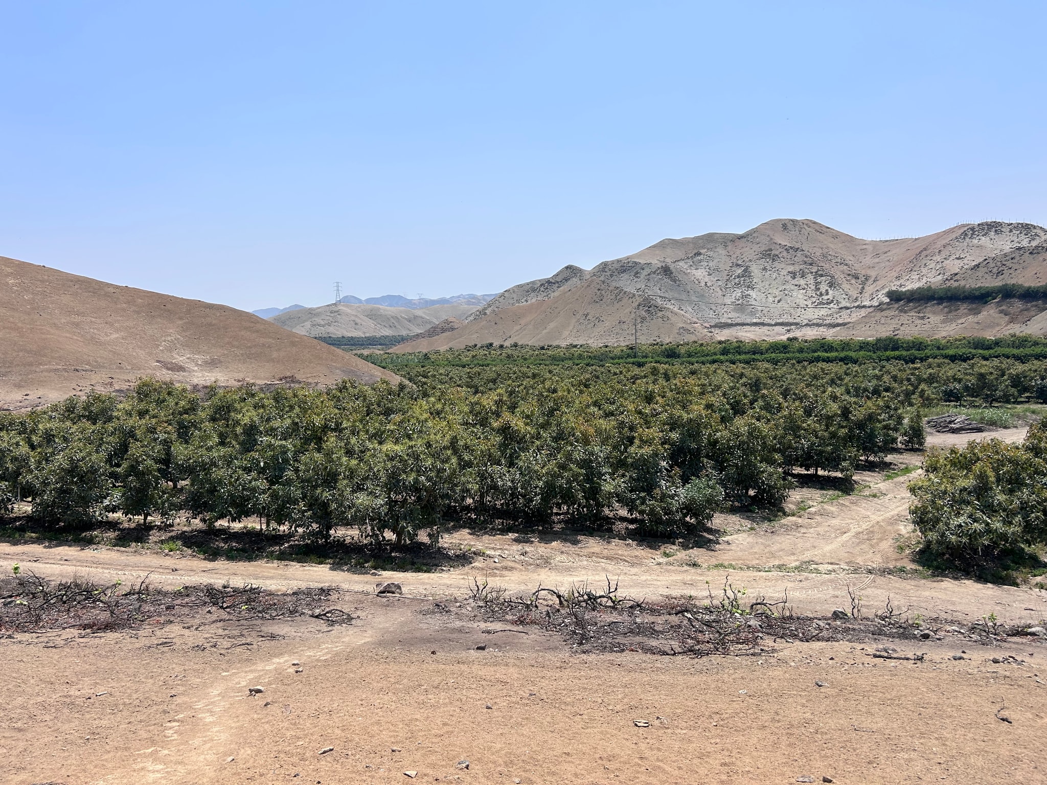 Terreno de 4 has en carretera a lunahuana — foto 15