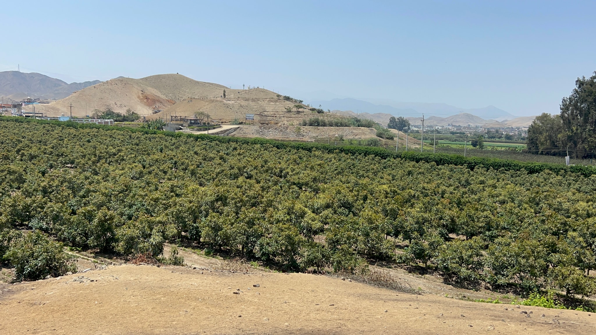 Terreno de 4 has en carretera a lunahuana — foto 16
