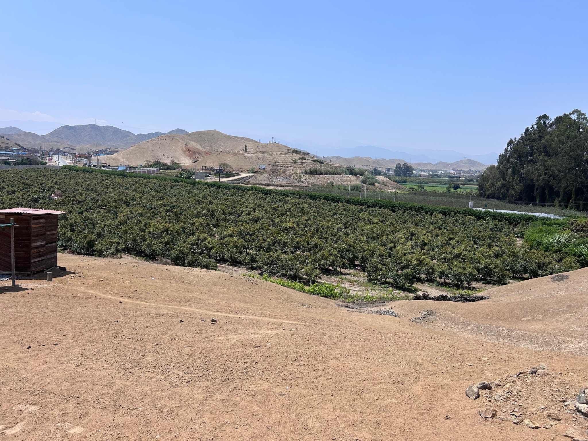 Terreno de 4 has en carretera a lunahuana — foto 19