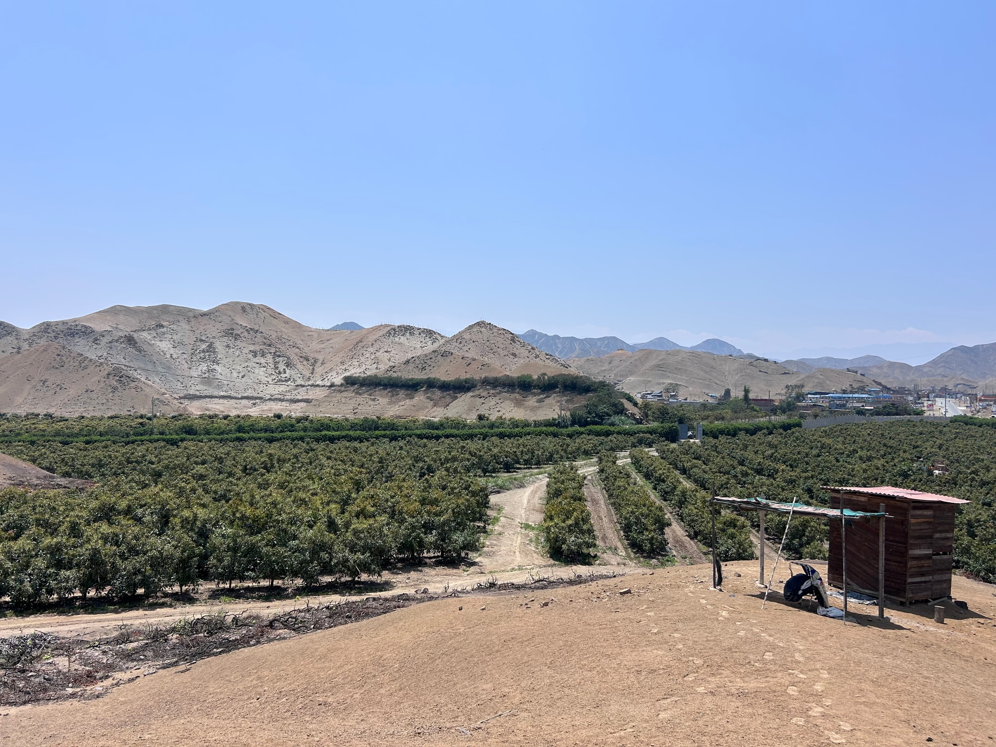 Terreno de 4 has en carretera a lunahuana — foto 17