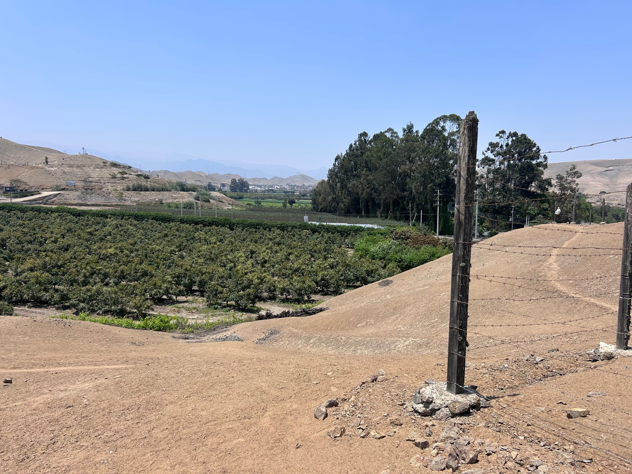 Terreno de 4 has en carretera a lunahuana — foto 18