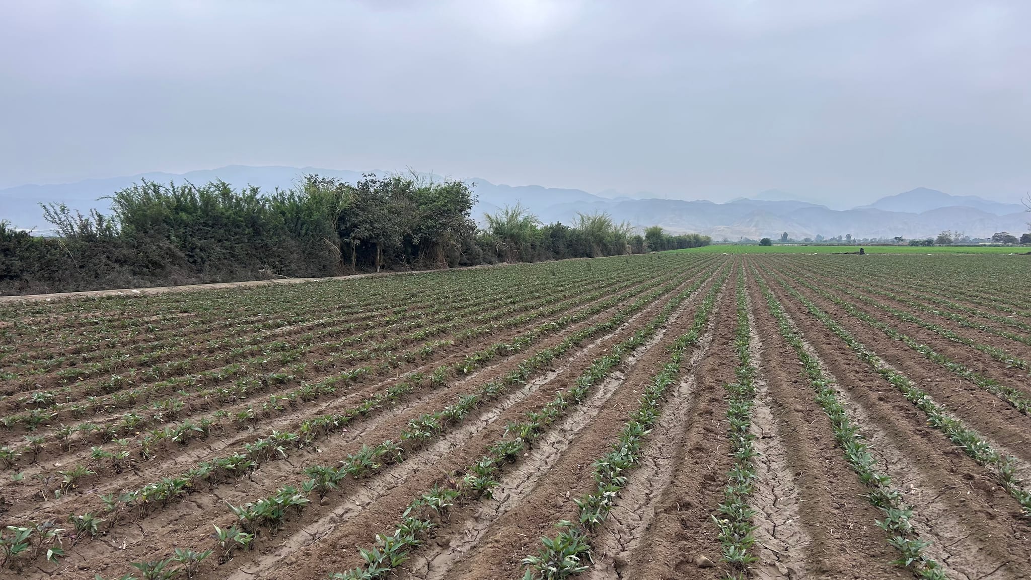Terreno de 2 has en Quilmana
