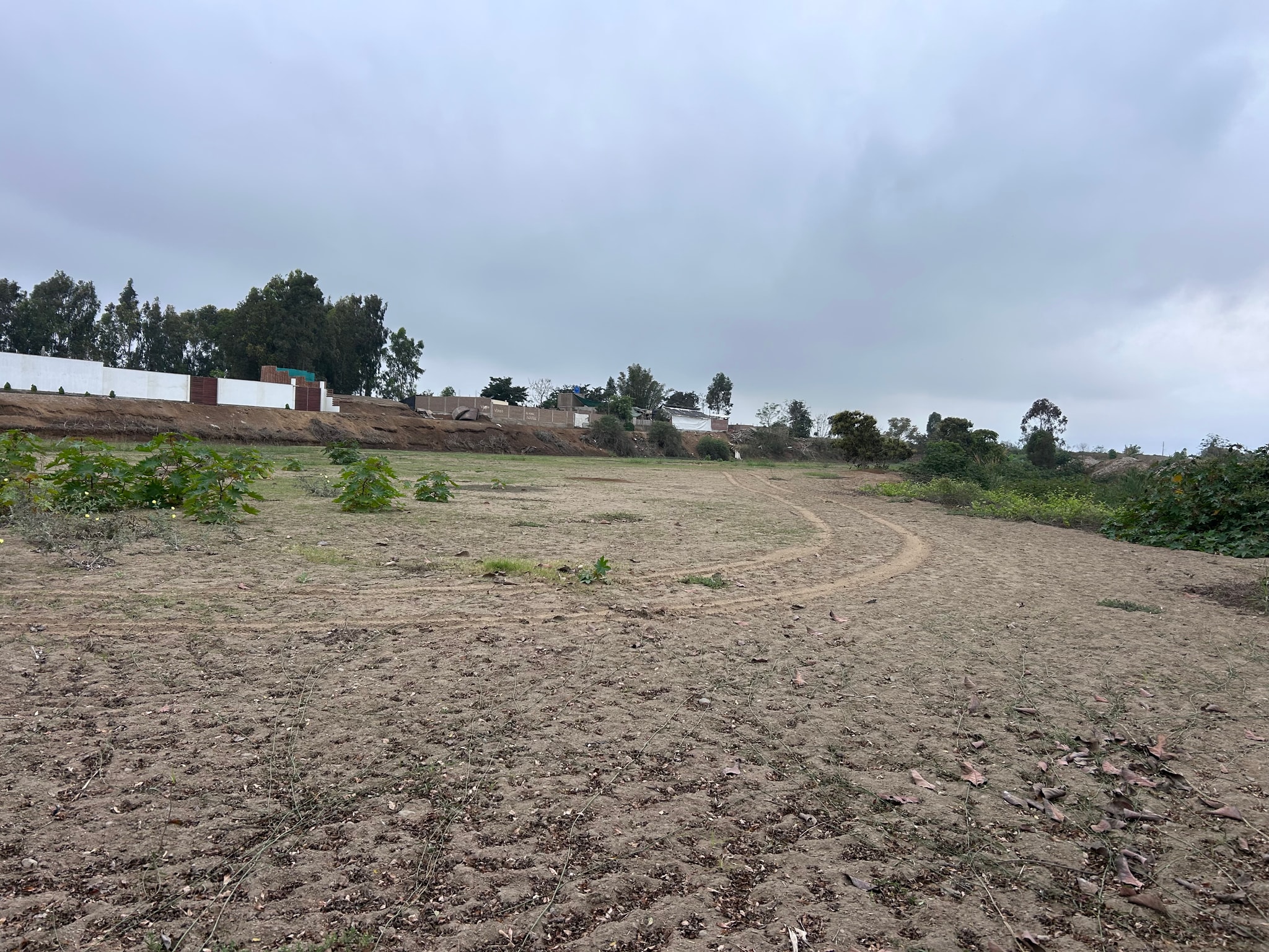 1.73 hectáreas en venta en San Benito — foto 4