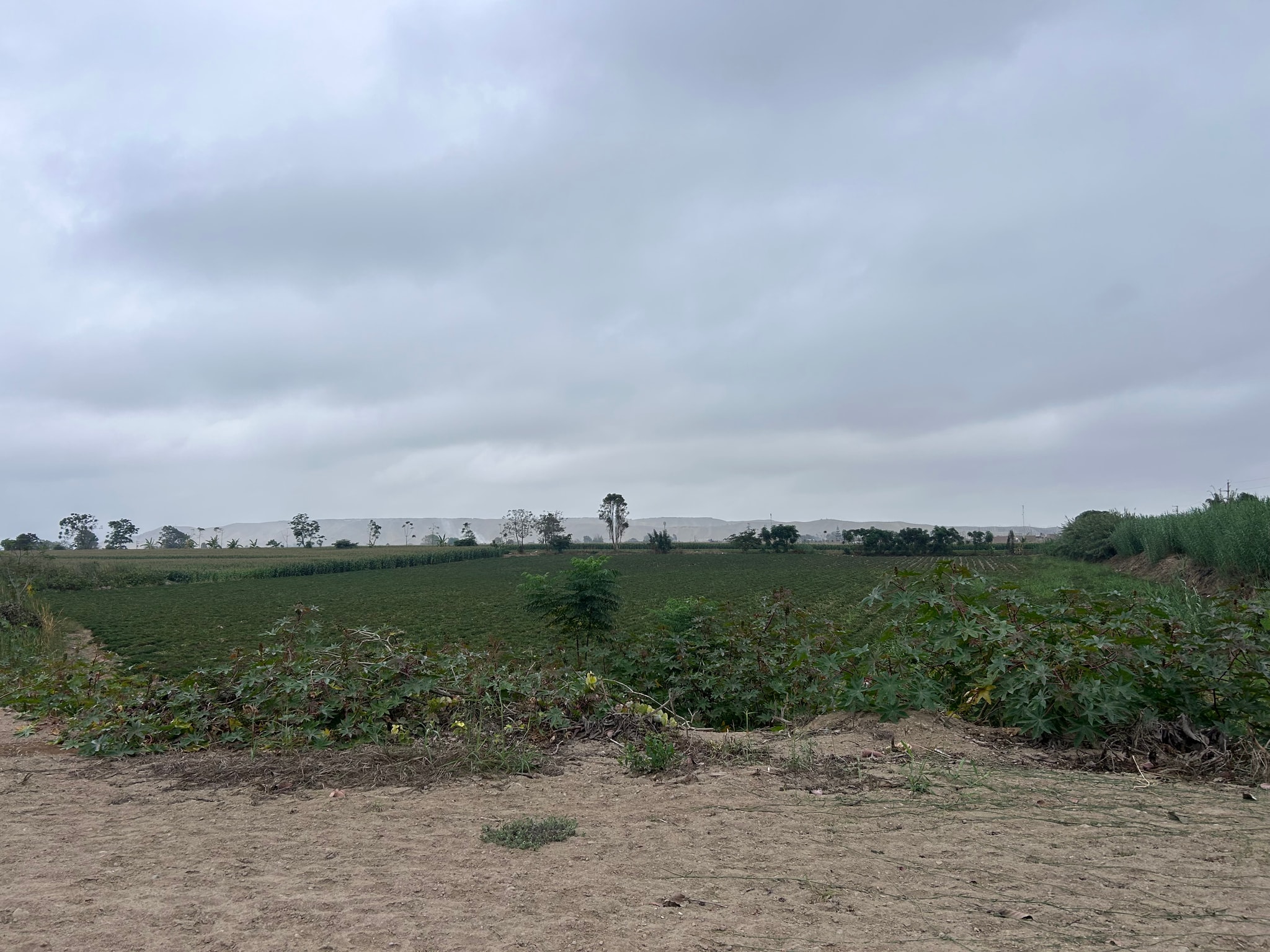 1.73 hectáreas en venta en San Benito — foto 5