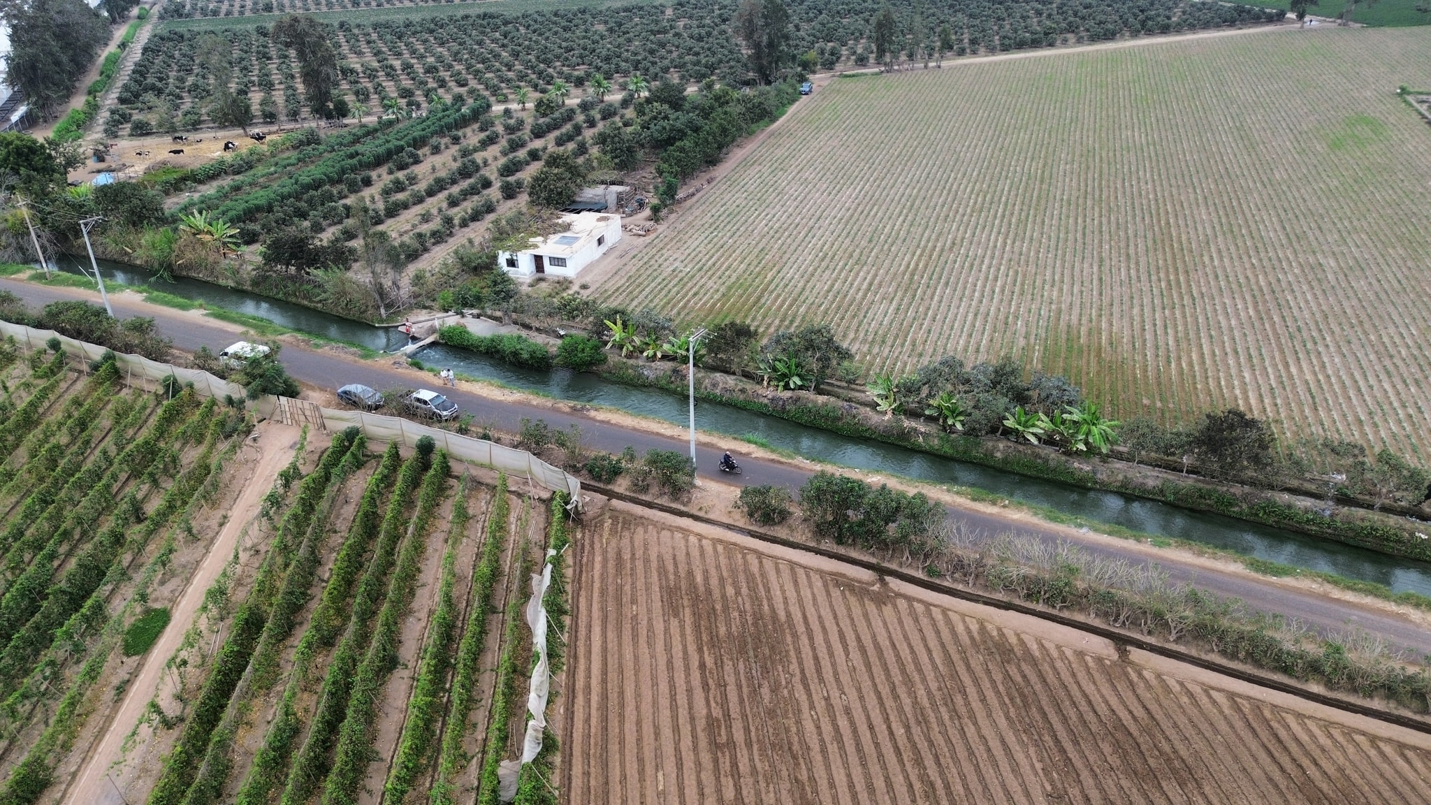Terreno agrícola 10 hectáreas — foto 2