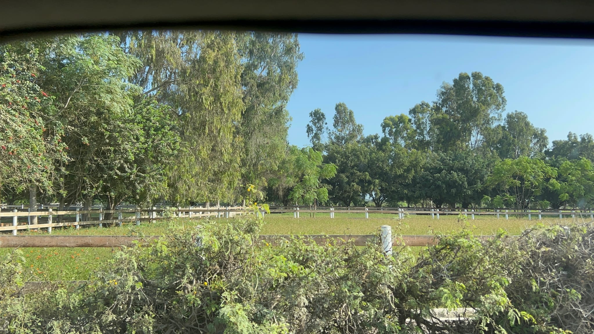 LOTE EN VENTA URB EL EDÉN NUEVO IMPERIAL