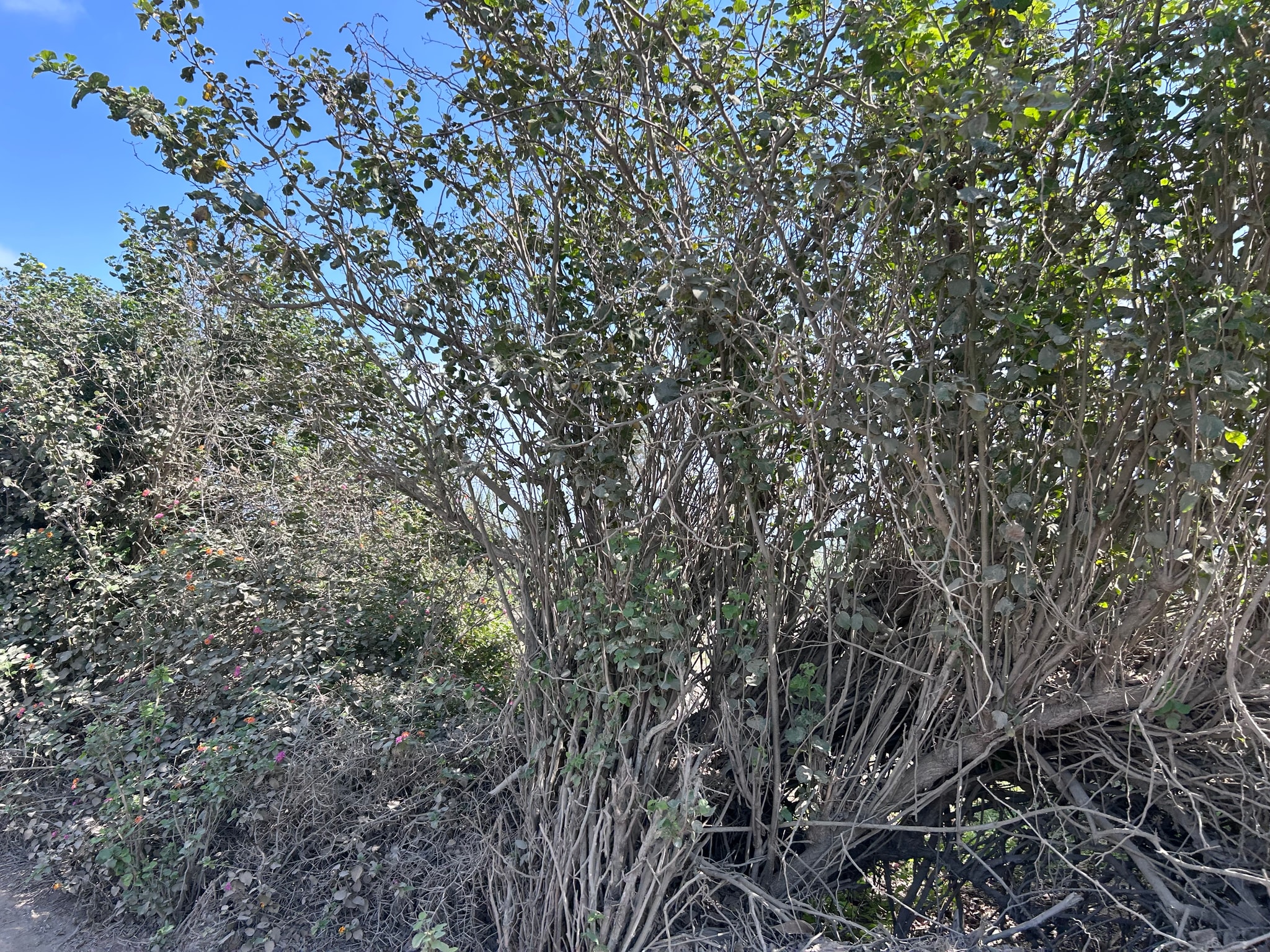 Venta de parcela de 900 m2 — foto 7