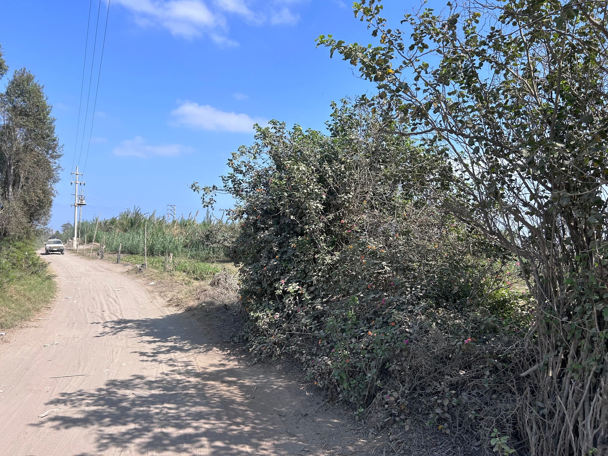 Venta de parcela de 900 m2 — foto 3