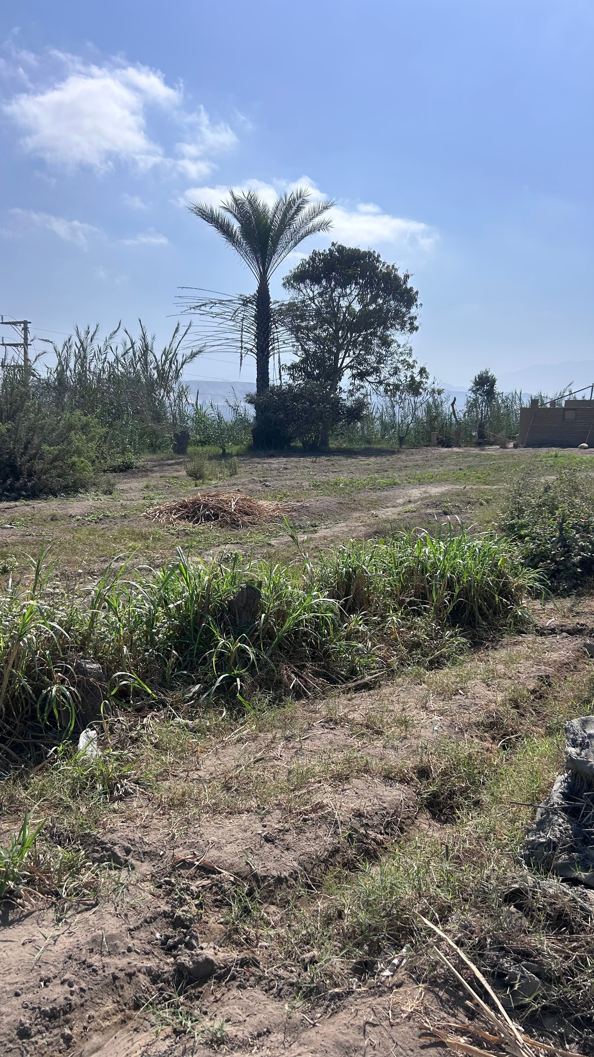 Venta de parcela de 900 m2 — foto 2