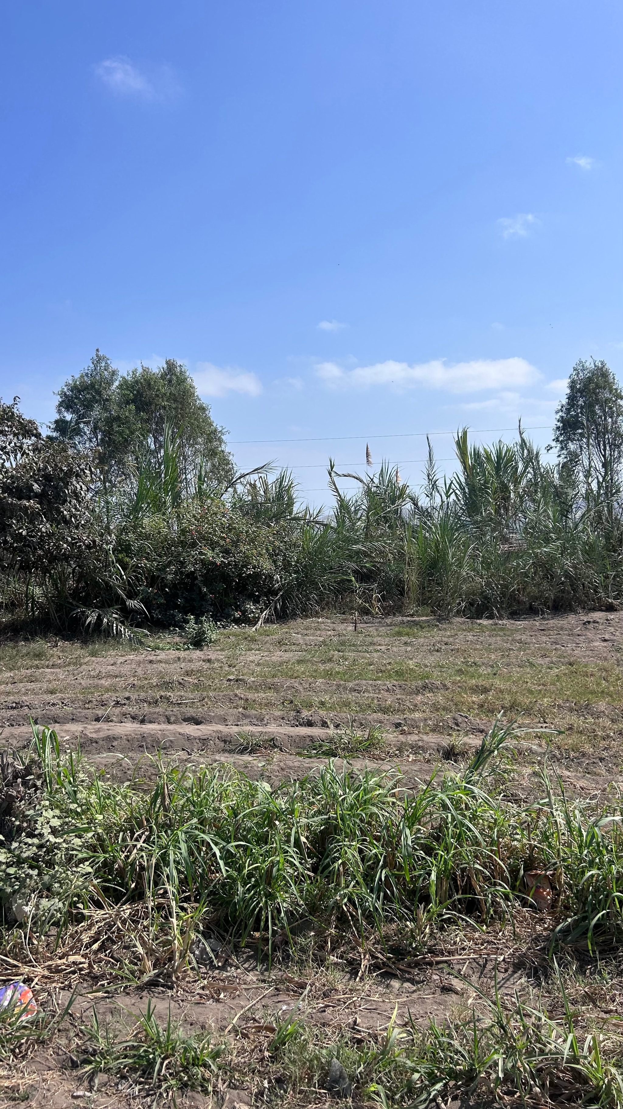 Venta de parcela de 900 m2 — foto 4